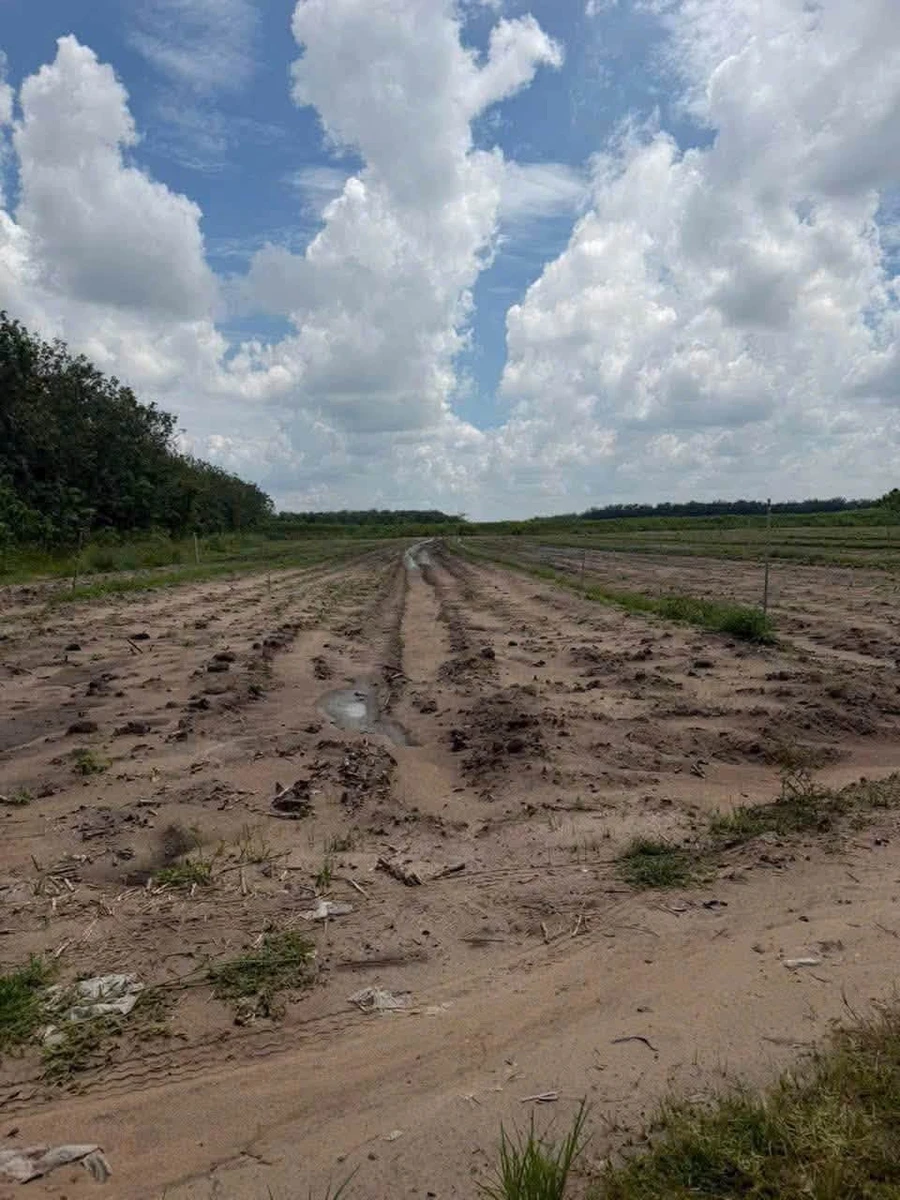 Bán 42000m² đất mặt tiền 389m tại Tây Ninh - Ảnh thu nhỏ 4