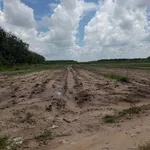 Bán 42000m² đất mặt tiền 389m tại Tây Ninh - Ảnh thu nhỏ 4