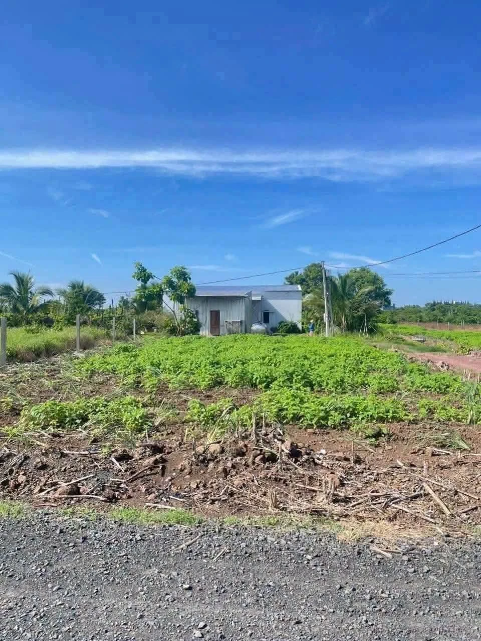 Bán đất nền 12x30m (360m²) 225 triệu Buôn Đôn, Đắk Lắk - Ảnh 1