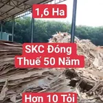 Bán xưởng 8.000m² Dầu Tiếng, Bình Dương, 18 tỷ - Ảnh thu nhỏ 1