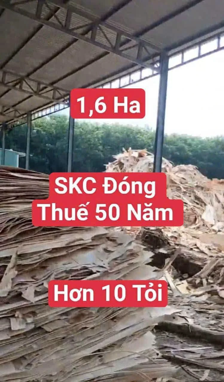 Bán xưởng 8.000m² Dầu Tiếng, Bình Dương, 18 tỷ - Ảnh 1