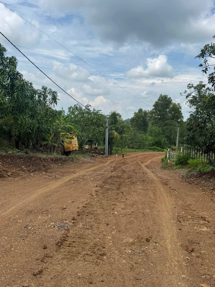 Bán lô đất mặt tiền 21.810m² tại Xuân Lộc, Đồng Nai - Ảnh thu nhỏ 4