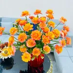Bán nhà hướng Đông Nam, đường Ngô Mây, 3PN 3WC - Ảnh thu nhỏ 23
