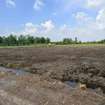 Bán đất vườn 3625m² Bình Đức Tây Ninh 2,35 tỷ - Ảnh thu nhỏ 3