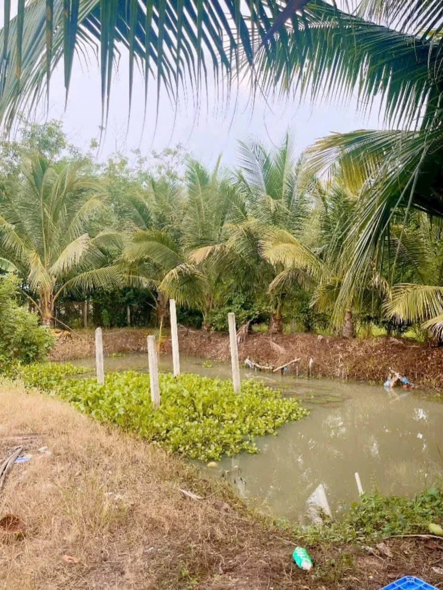 Bán khu nghỉ dưỡng 1.100m² Long Hoa, Tây Ninh 695 triệu - Ảnh 1