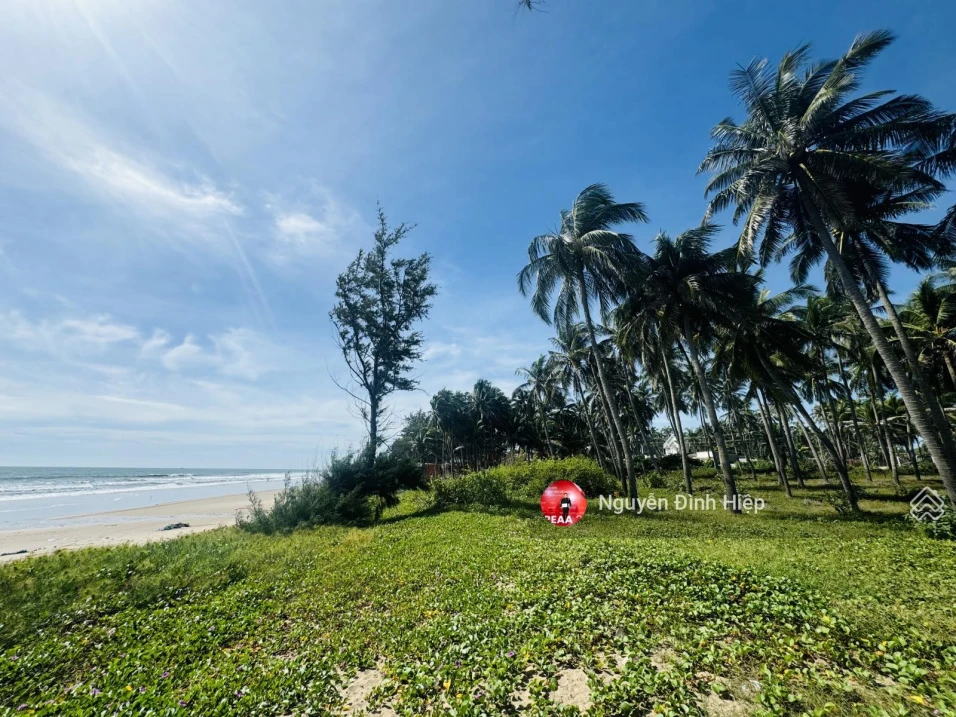 Bán 284m2 cạnh biển Nguyễn Cơ Thạch, Mũi Né giáp Sun Group - Ảnh thu nhỏ 2