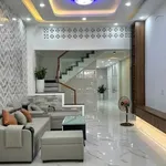 Bán nhà mới 66m2 4 phòng ngủ gần Đầm Sen 8.65 tỷ - Ảnh thu nhỏ 1