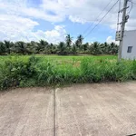 Bán đất nền 55m² mặt tiền 6m Tân Trụ Long An - Ảnh thu nhỏ 1