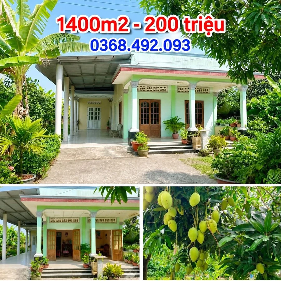 Bán nhà vườn Chơn Thành 1400m² 200 triệu - Ảnh 1