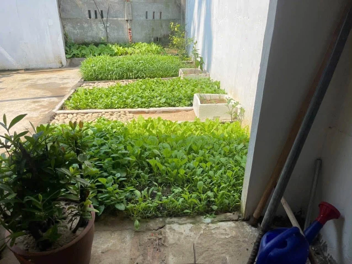 Bán nhà vườn cấp 4 An Phú 178m2, 1,19 tỷ - Ảnh thu nhỏ 3