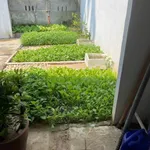 Bán nhà vườn cấp 4 An Phú 178m2, 1,19 tỷ - Ảnh thu nhỏ 3