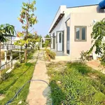Bán nhà sân vườn 861m² 2PN Cần Dước Tây Ninh 3,7 tỷ - Ảnh thu nhỏ 5