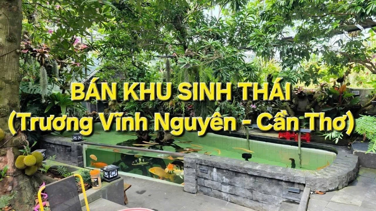 Bán khu sinh thái nghỉ dưỡng 20x110m mặt tiền Trương Vĩnh Nguyên, Cái Răng, Cần Thơ giá 33 tỷ - Ảnh 1