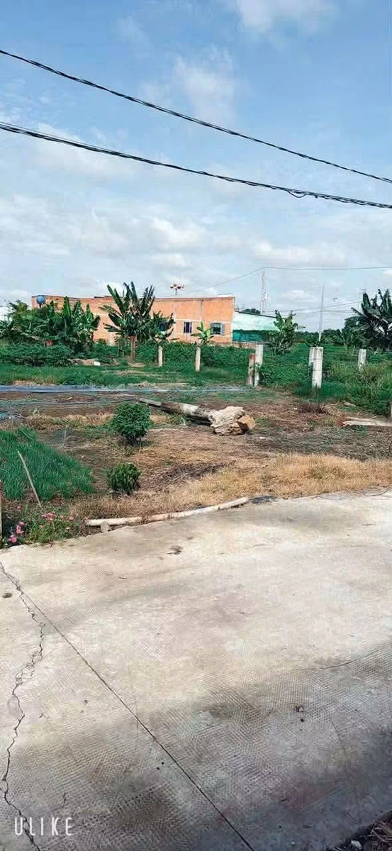 Bán đất thổ cư 5x29m giá 450 triệu tại xã Tân Trụ (Bình Lãng cũ), Tây Ninh - Ảnh thu nhỏ 2