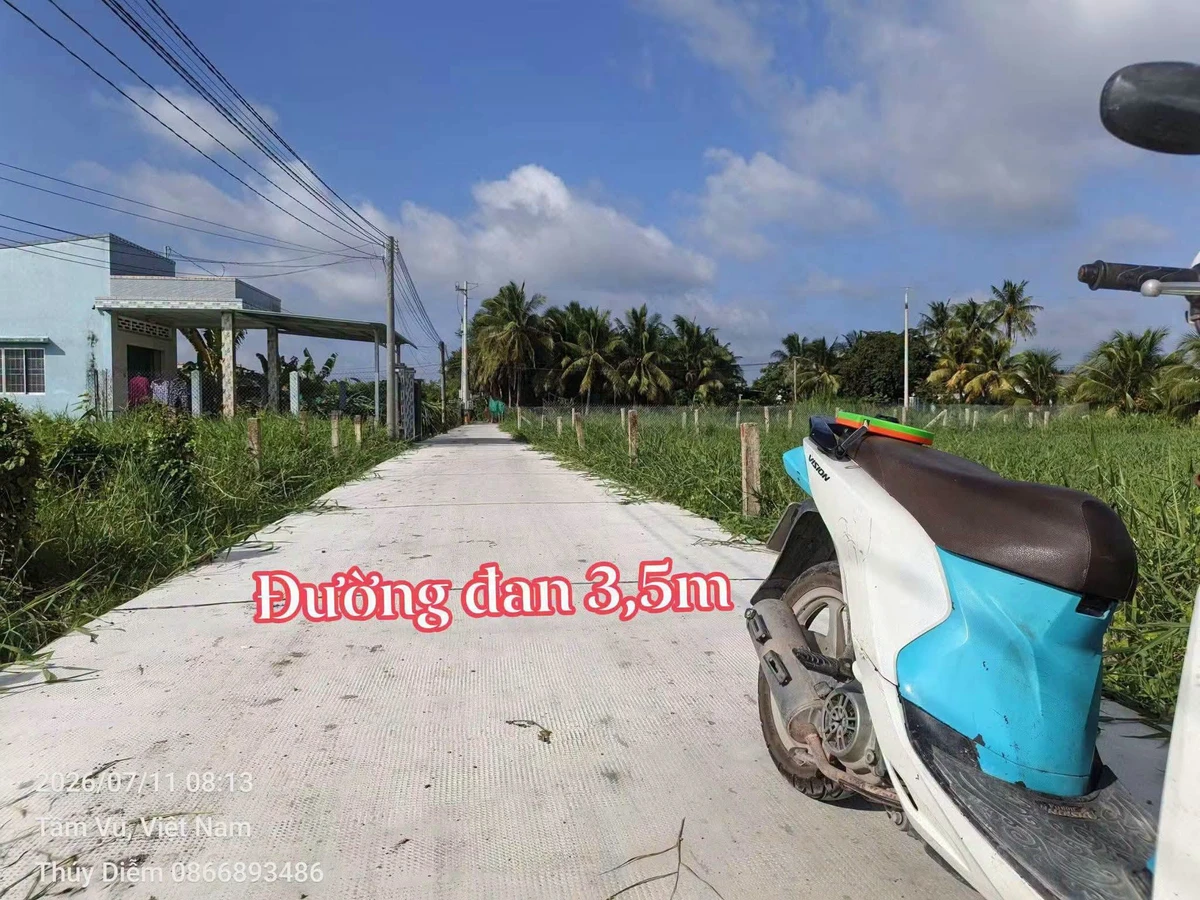 Bán đất thổ và lúa 300m² tại Châu Thành Long An 650 triệu - Ảnh 1