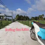 Bán đất thổ và lúa 300m² tại Châu Thành Long An 650 triệu - Ảnh thu nhỏ 1