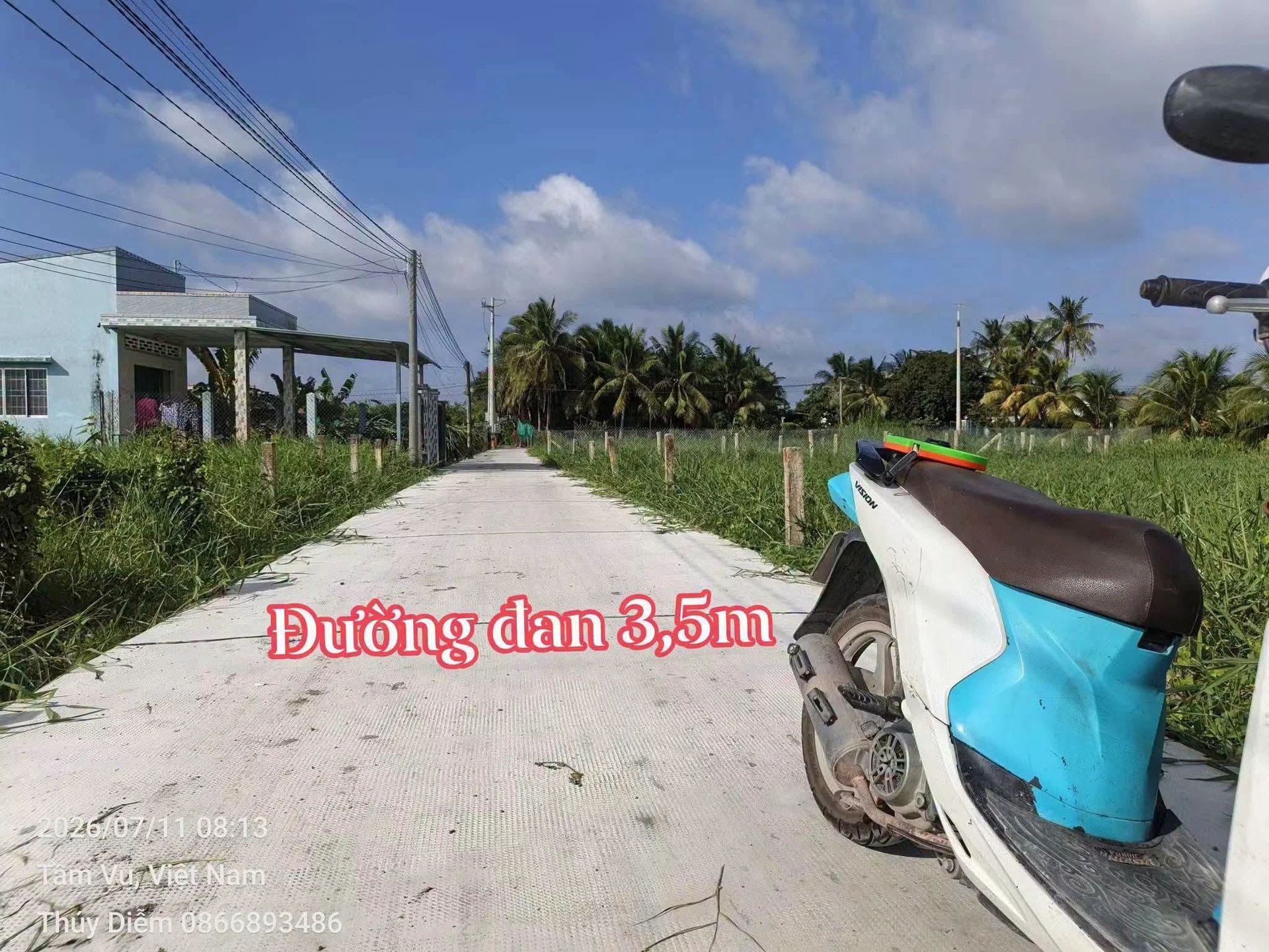Bán đất thổ và lúa 300m² tại Châu Thành Long An 650 triệu - Ảnh 1
