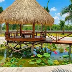 Bán đất vườn có nhà 1.606m² cách Phan Thiết 9km, giá 1 tỷ 850 triệu - Ảnh thu nhỏ 5