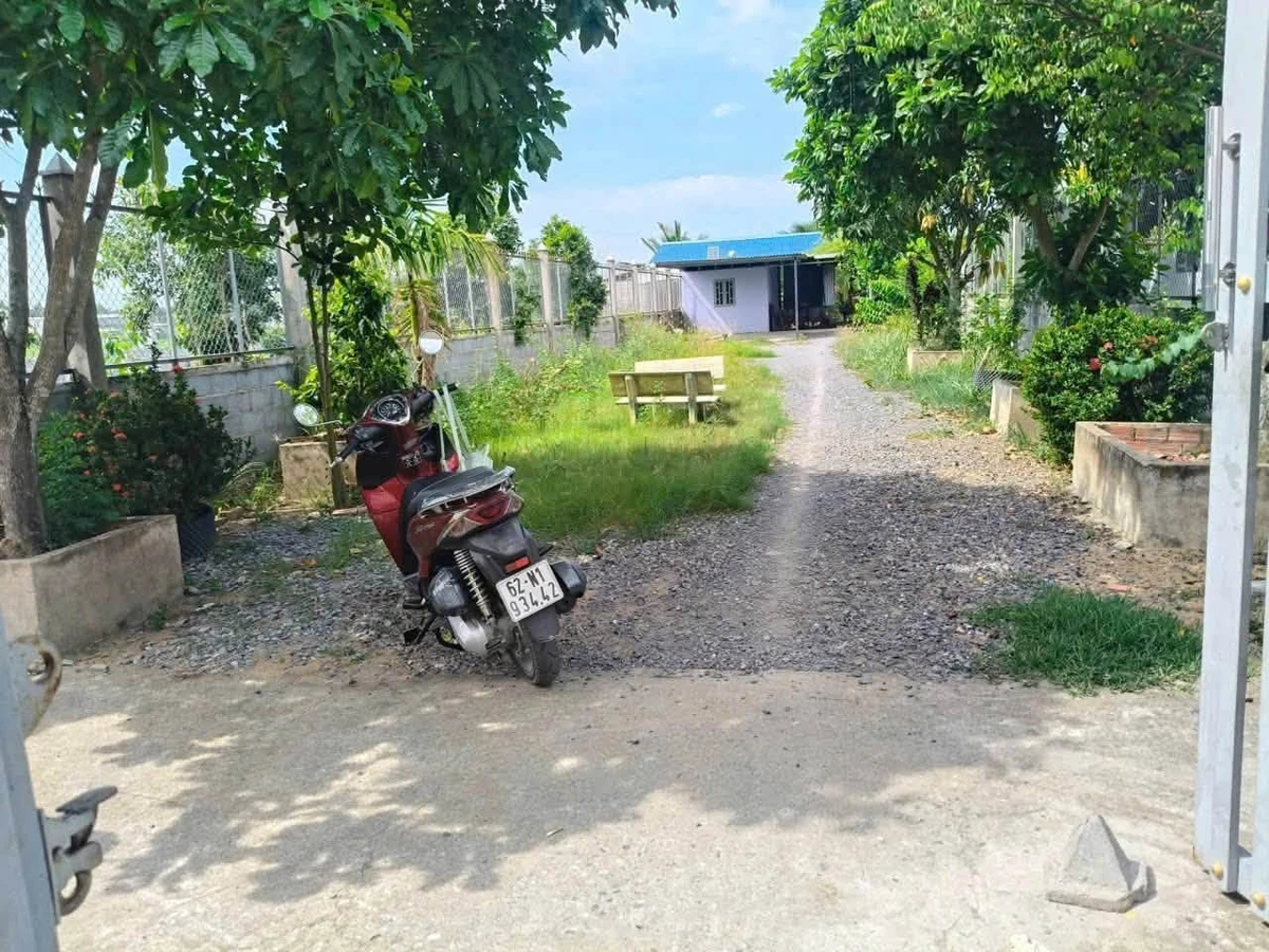 Bán nhà vườn 800m² mặt tiền kênh Bến Lức Long An - Ảnh thu nhỏ 5