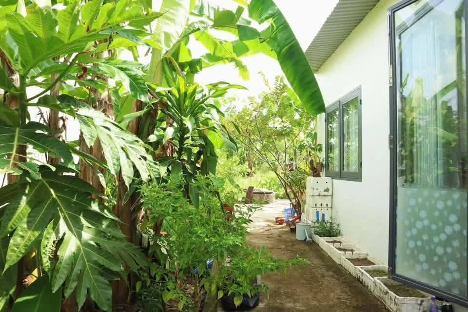 Bán farm Diên Đồng 611,5m² chỉ 1 tỷ 550 triệu - Ảnh thu nhỏ 2
