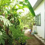 Bán farm Diên Đồng 611,5m² chỉ 1 tỷ 550 triệu - Ảnh thu nhỏ 2