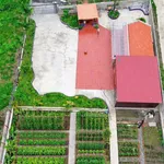 Bán đất nghỉ dưỡng 1.800m² An Thái Phú Giáo 3,5 tỷ - Ảnh thu nhỏ 3