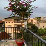 Bán nhà 3 tầng 64m² 4 phòng ngủ Việt Hòa Hải Dương - Ảnh thu nhỏ 5