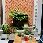 Bán nhà 2 phòng ngủ 90.6m² Tôn Đức Thắng Quận 12 - Ảnh thu nhỏ 5
