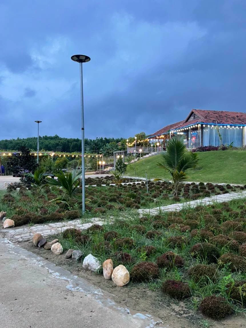 Bán farm 14.500m² Khánh Hòa giá 12 tỷ đã hạ - Ảnh thu nhỏ 3