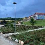 Bán farm 14.500m² Khánh Hòa giá 12 tỷ đã hạ - Ảnh thu nhỏ 3