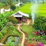 Bán đất vườn 5.400m² Bến Lức, Long An, 1,3 tỷ/1.000m² - Ảnh thu nhỏ 3