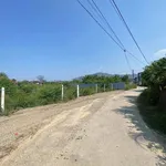 Bán đất Diên Điền 91,1m² ngang 5,3m 690 triệu - Ảnh thu nhỏ 2