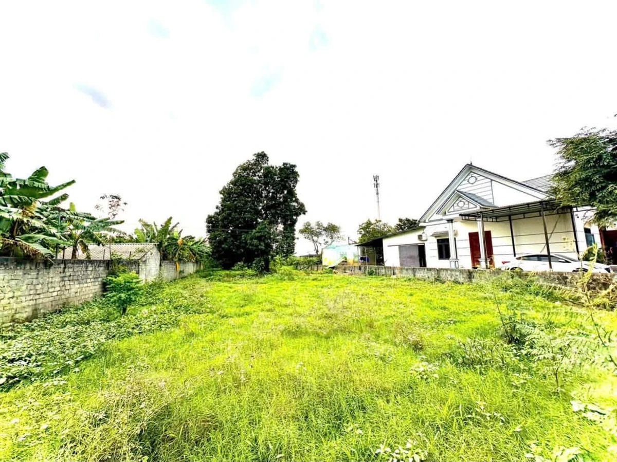 Bán đất 1.680m² mặt tiền 30m gần KCN Nhuận Trạch, Nhà Bè - Ảnh thu nhỏ 3