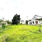 Bán đất 1.680m² mặt tiền 30m gần KCN Nhuận Trạch, Nhà Bè - Ảnh thu nhỏ 3