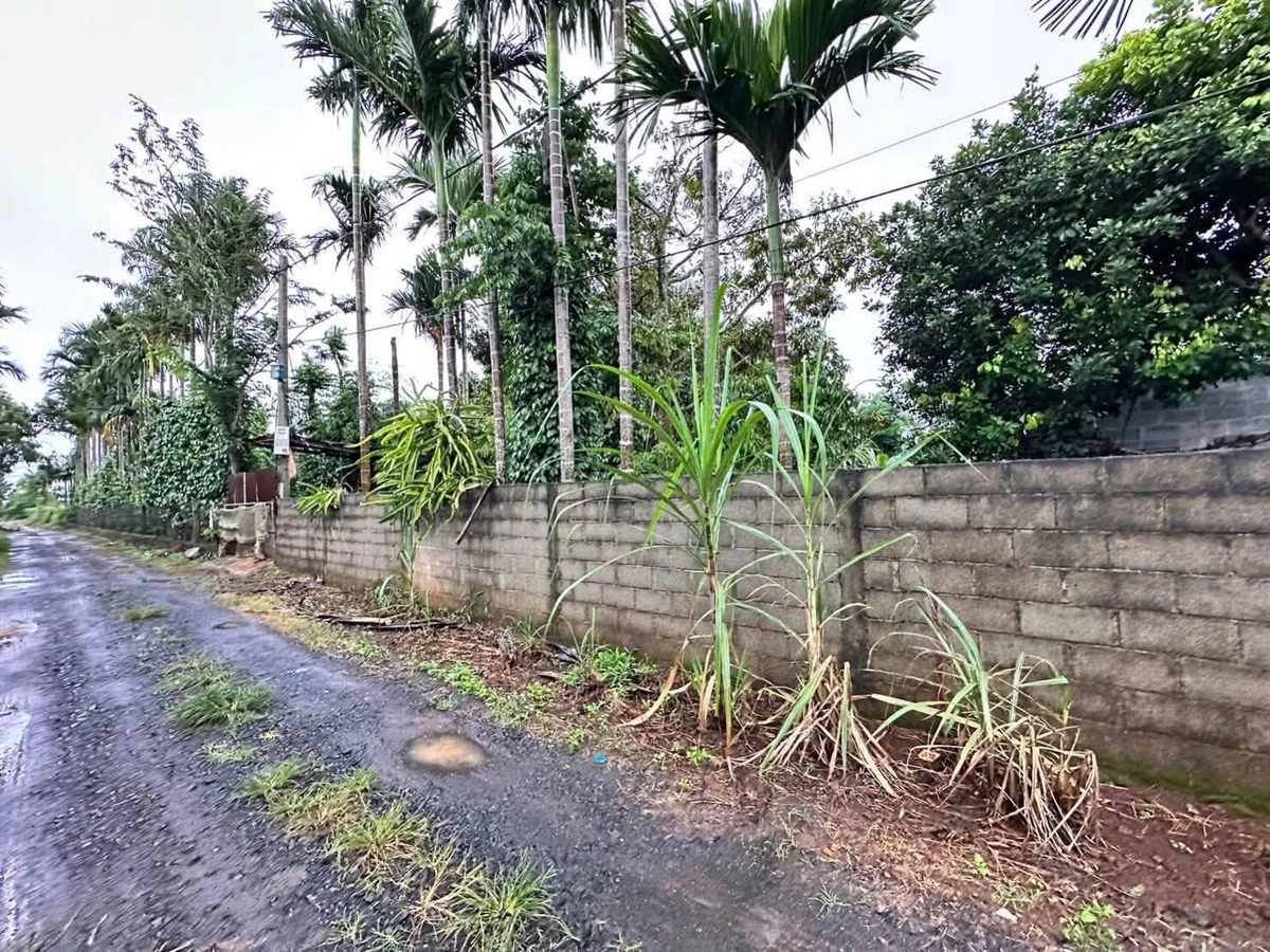 Bán đất mặt tiền 500m2 Tân An Nhà Bè - Ảnh thu nhỏ 2