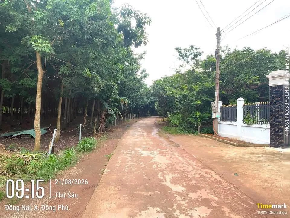 Bán đất nền 400m² sổ sẵn gần khu công nghiệp Nam Đồng Phú, Đồng Nai - Ảnh thu nhỏ 3
