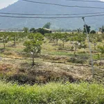 Bán đất Tây Ninh 1 mẫu 7 (6700m²) giá 5 tỷ 8 - Ảnh thu nhỏ 2