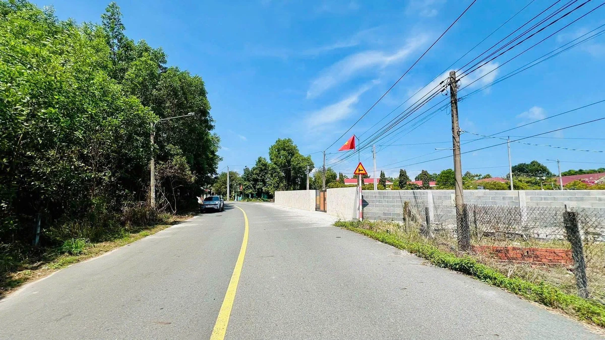 Bán đất 1865m2 Phước Hải, cách biển 3km, giá 7.5 tỷ - Ảnh thu nhỏ 4