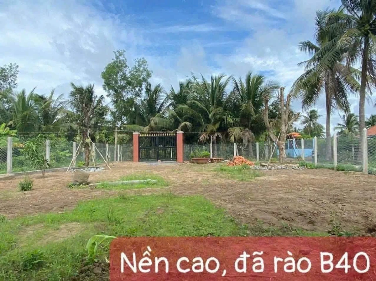 Bán 302m đất thổ cư 2 mặt tiền An Thạnh Bến Lức - Ảnh thu nhỏ 2