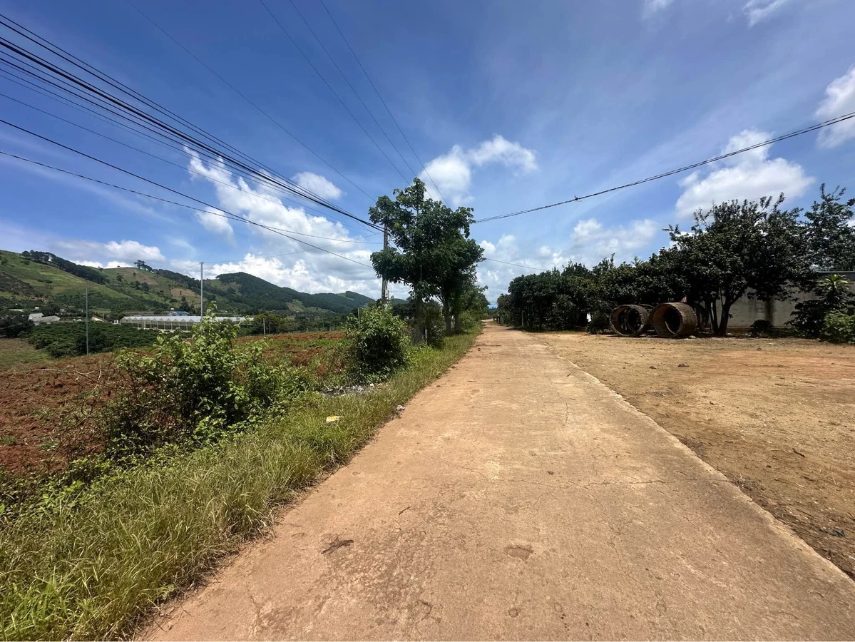 Bán đất view đồi thông Đà Lạt, sẵn sổ, 839m² và 1098m² - Ảnh 1