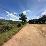 Bán đất view đồi thông Đà Lạt, sẵn sổ, 839m² và 1098m² - Ảnh thu nhỏ 1