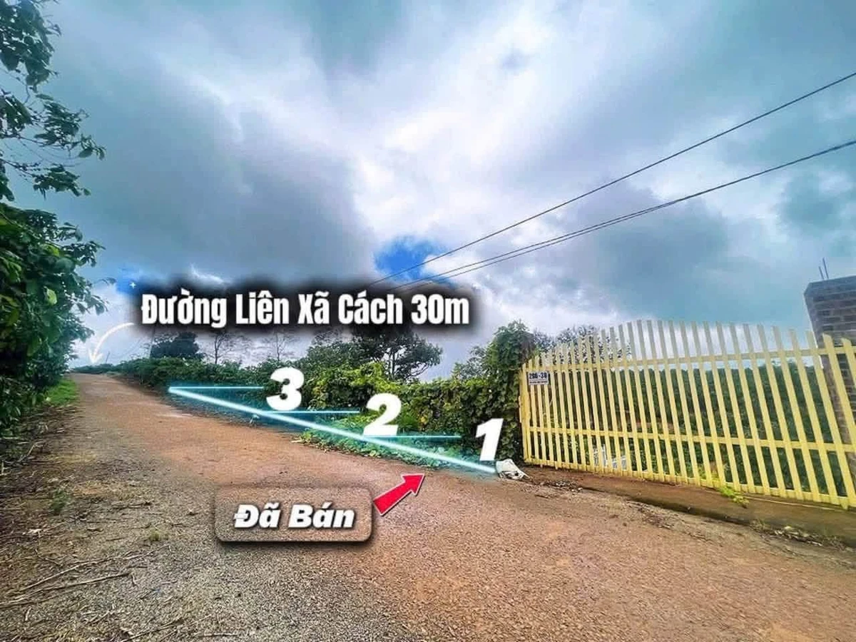Bán đất Di Linh Lâm Đồng 75m² mặt tiền nhựa 435 triệu - Ảnh thu nhỏ 2