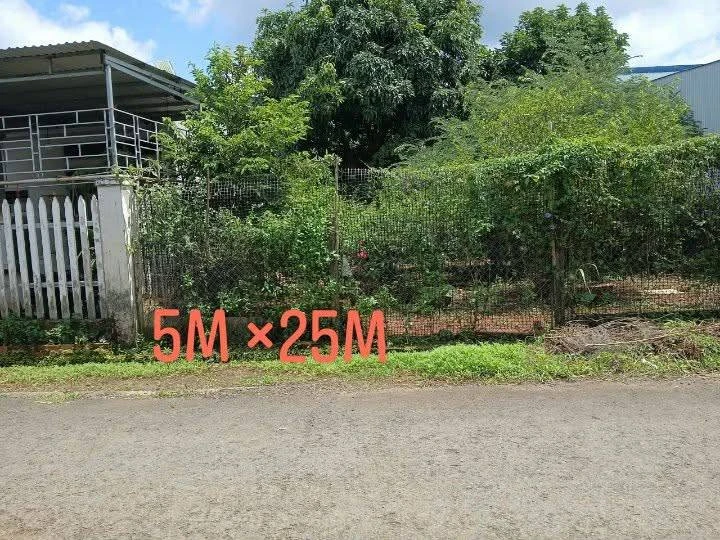 Bán lô đất nền 125m² Phường Thành Nhất, giá 1,25 tỷ - Ảnh thu nhỏ 2