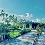 Bán đất sào hơn 1000m2 thổ cư 695 triệu Bình Dương - Ảnh thu nhỏ 4