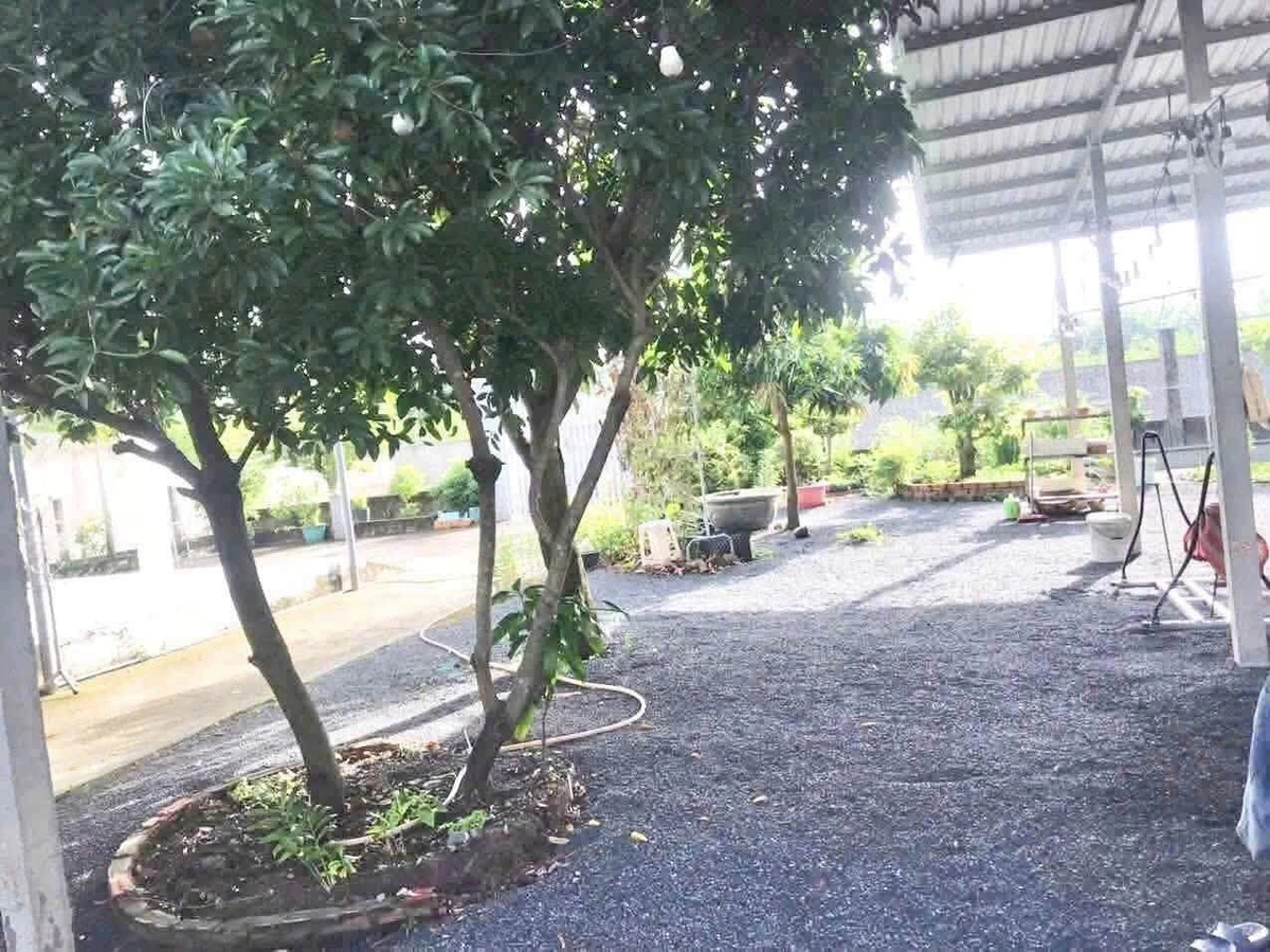 Bán nhà vườn 726m² 2PN Phường Long An Tây Ninh 6 tỷ - Ảnh thu nhỏ 4