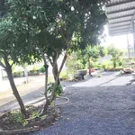 Bán nhà vườn 726m² 2PN Phường Long An Tây Ninh 6 tỷ - Ảnh thu nhỏ 4