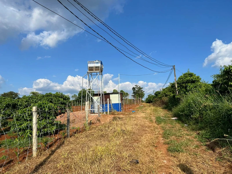 Bán đất 2.400m² Trương Định Pleiku, view ruộng