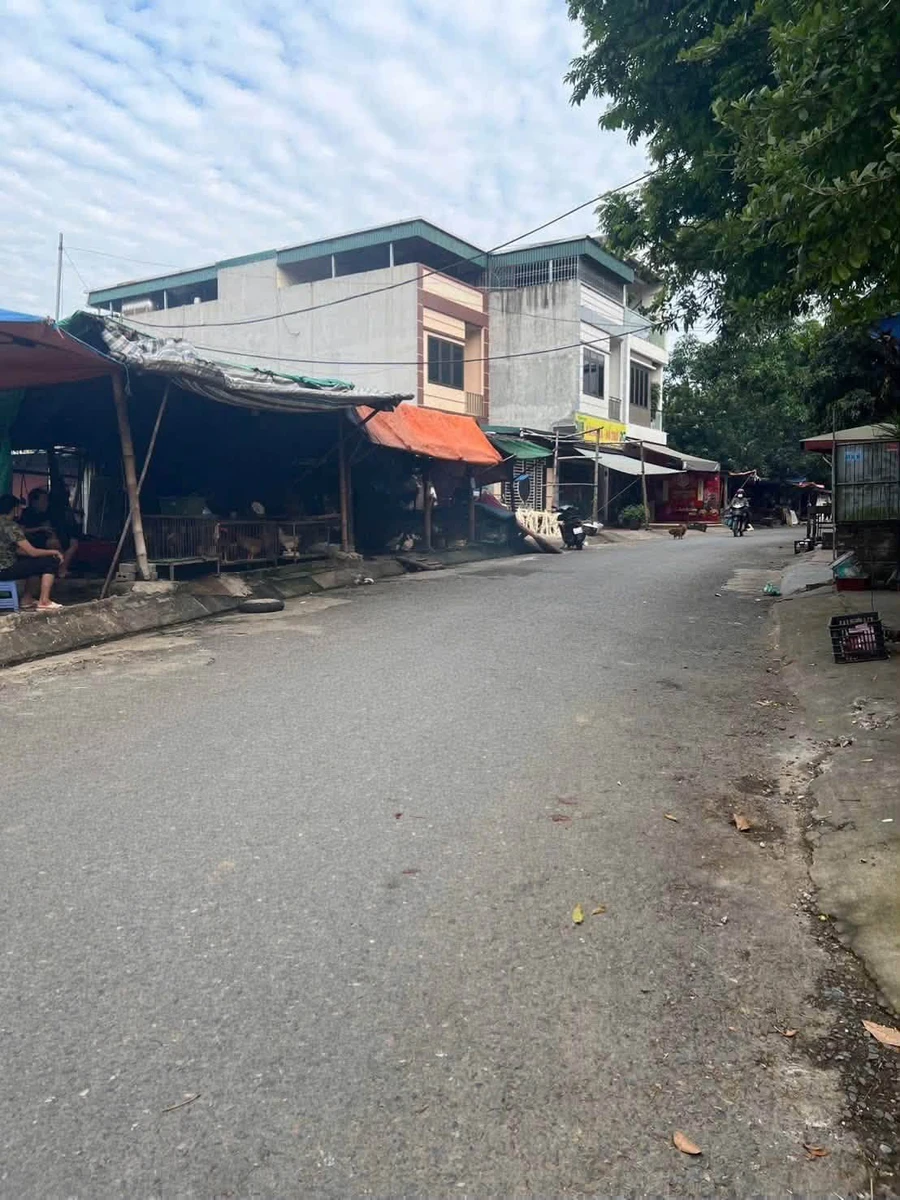 Bán lô đất 100m² Làng Đen, Hải Phòng 1.699 tỷ - Ảnh thu nhỏ 2