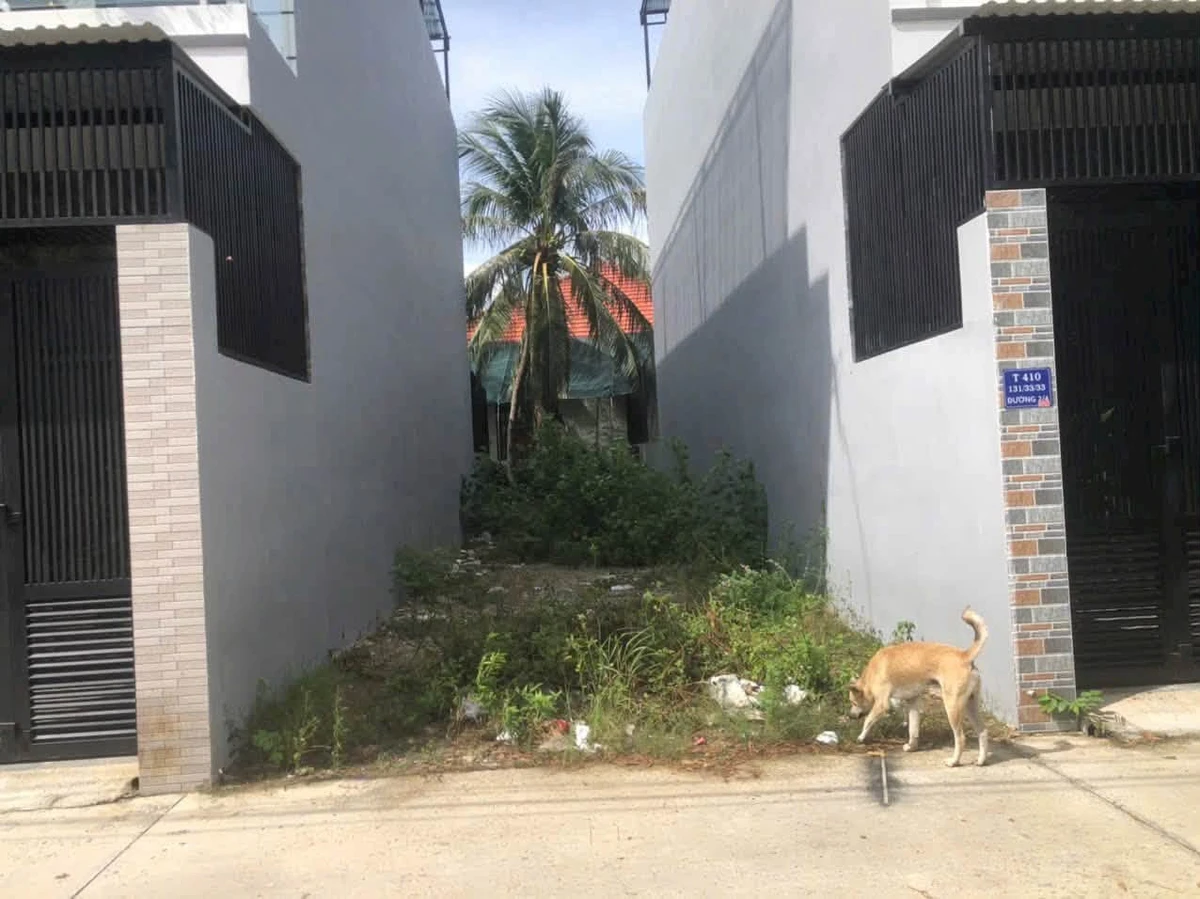 Bán đất hẻm ô tô trung tâm Nha Trang 78.4m2 - Ảnh thu nhỏ 3