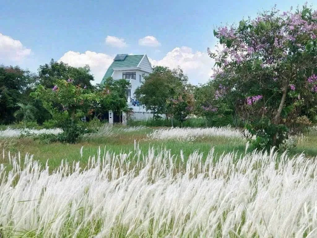 Bán biệt thự 215m2, Tam Đa Q9, 8,5 tỷ - Ảnh thu nhỏ 2